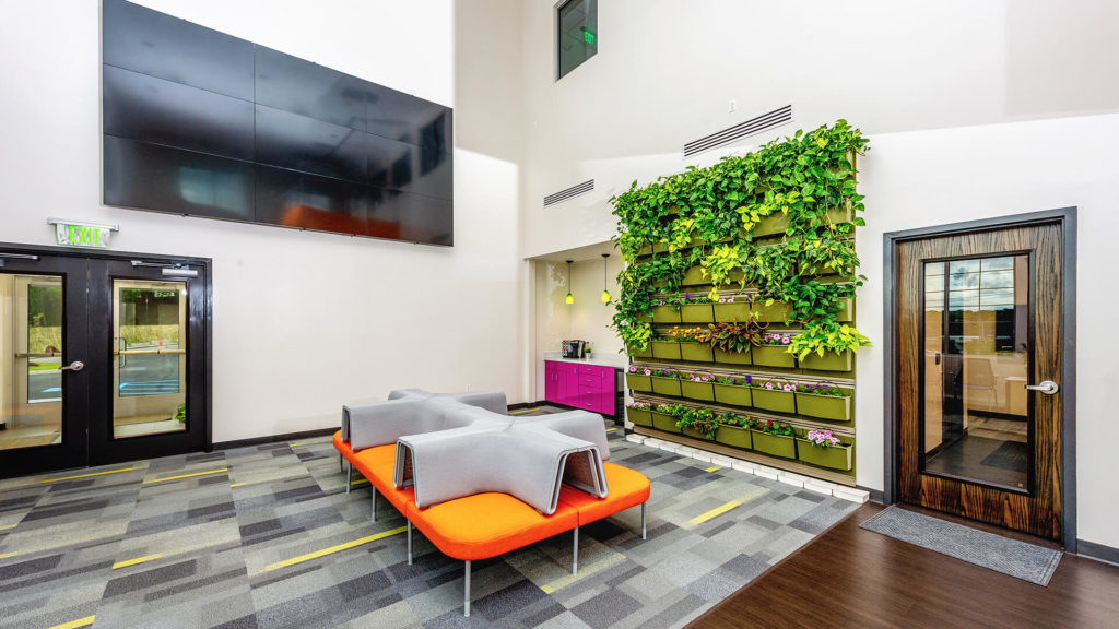 EAT YOUR HEART OUT, BABYLON: The visually striking “living wall” is good for the air, the senses and patient relaxation. COLANDER 